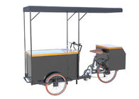 음식 급료 안전한 수도 펌프를 가진 3개의 바퀴 아이스크림 자전거 손수레