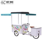 EQT 138L 냉장고 아이스크림 세발 자전거 화물 자전거 판매 고품질 프론트 로딩 페달 보조 냉동고