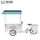 판매 DC 동력이 공급된 냉장고 세발 자전거 카트 식품 세발 자전거를 위한 EQT 138L 또는 110L 정면 하중 세발 자전거 아이스크림 자전거