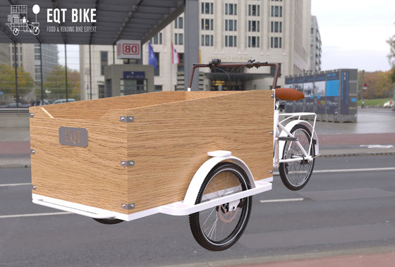 아이들을 위한 전기 박스 구조 세발 자전거 카고 바이크